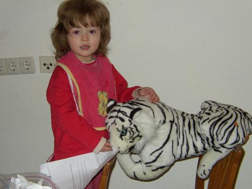 how Kimberly feeds her tiger